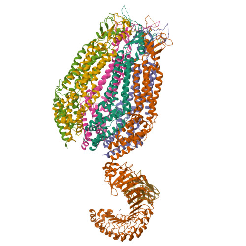 Structure 9T5P
