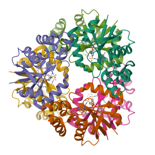 Structure 9T60