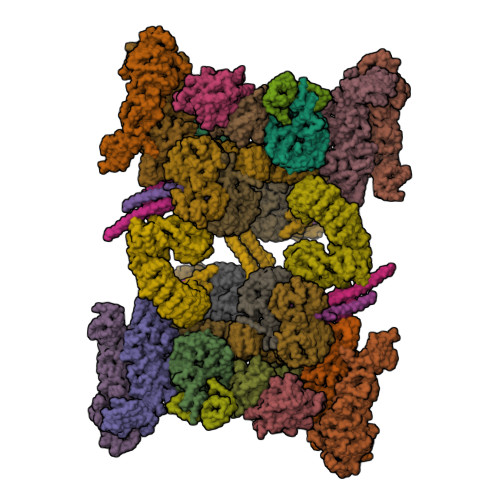 Structure 9T66