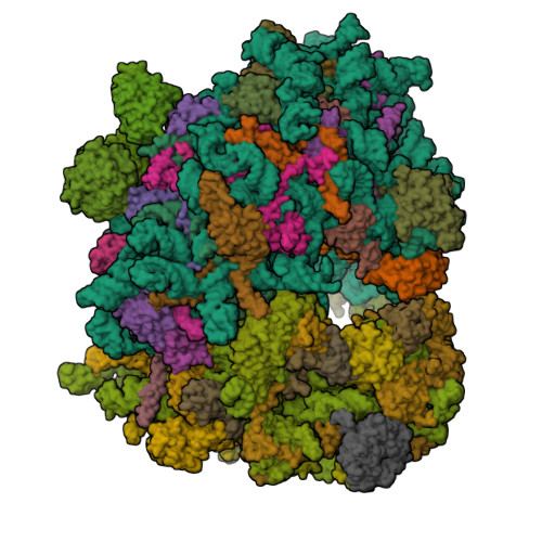 Structure 9T69