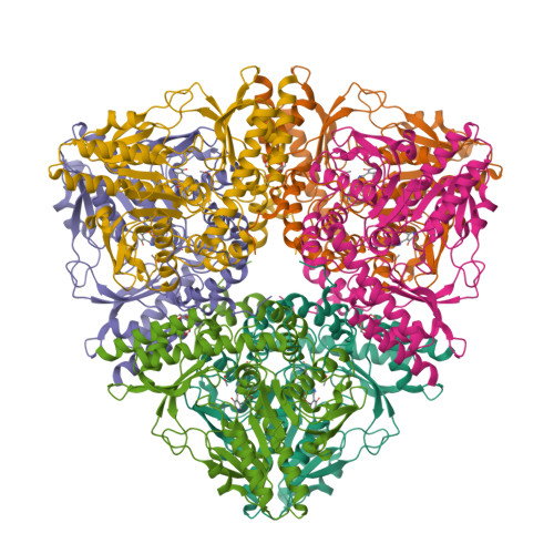 Structure 9T6A