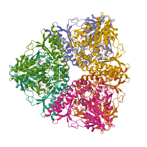 Structure 9T6B