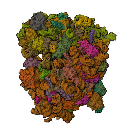 Structure 9T6C
