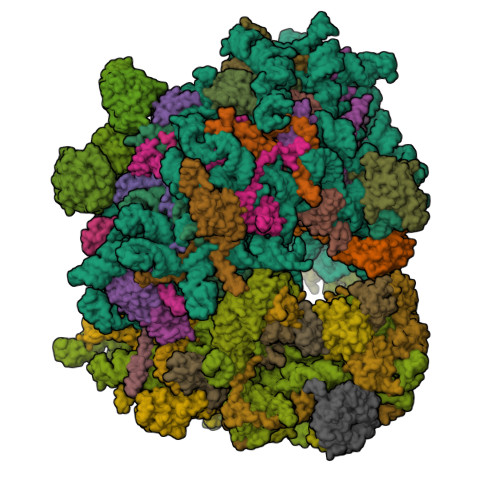 Structure 9T6I