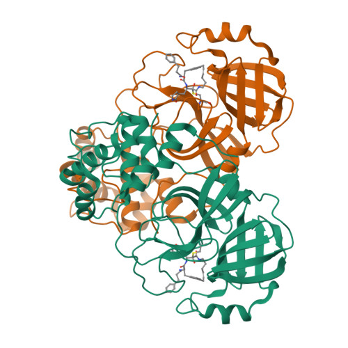 Structure 9T72