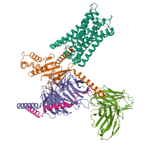 Structure 9T7P