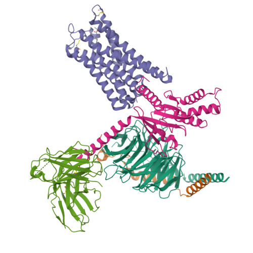 Structure 9T7Q