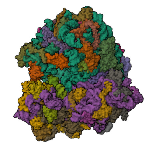 Structure 9T7T