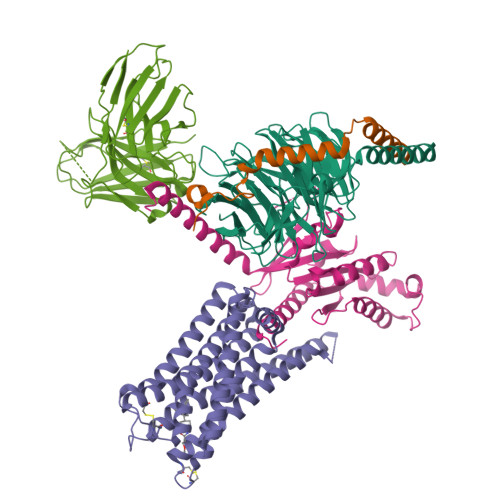 Structure 9T88