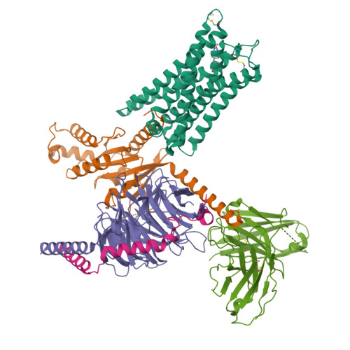 Structure 9T8C