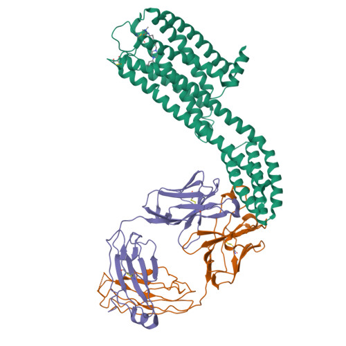 Structure 9T8D