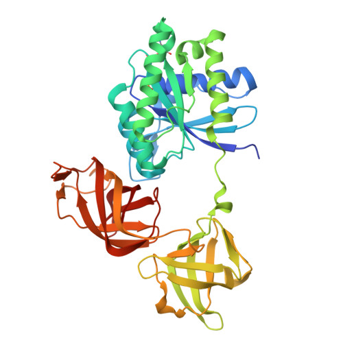 Structure 9T8G