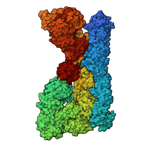 Structure 9T8H
