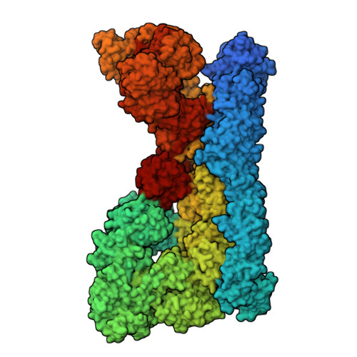 Structure 9T8I