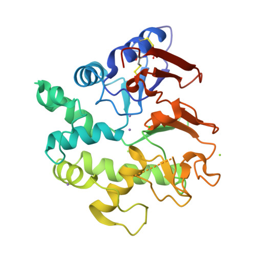 Structure 9T9O