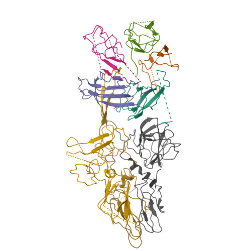 Structure 9T9R