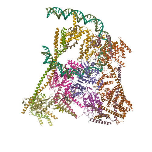 RCSB PDB - 9TAW: Structure of the human inner kinetochore CCAN
