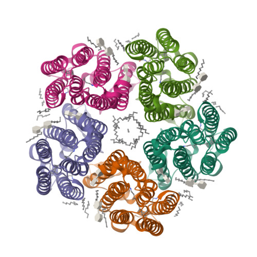 Tbd Structure RCSB PDB - 9TBD: Cryo-EM structure of the light-driven sodium pump ...