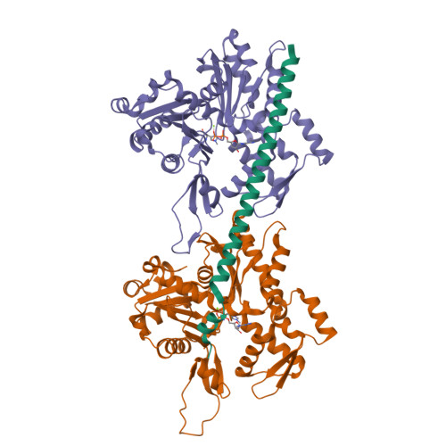 Structure 9TG8