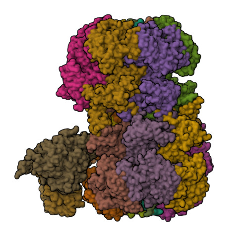 Structure 9TH8