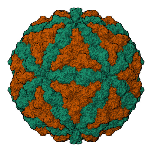 Structure 9THH