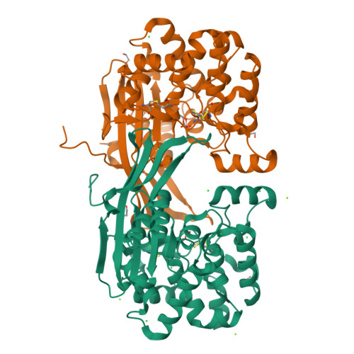 Structure 9THY
