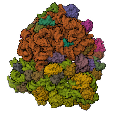 Structure 9TI5