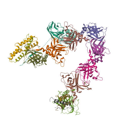 Structure 9TIP