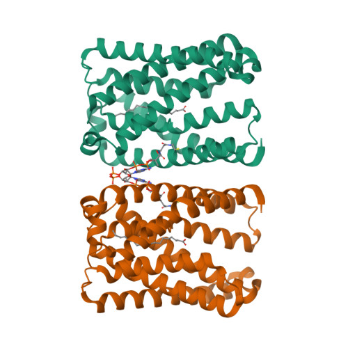 Structure 9TKA