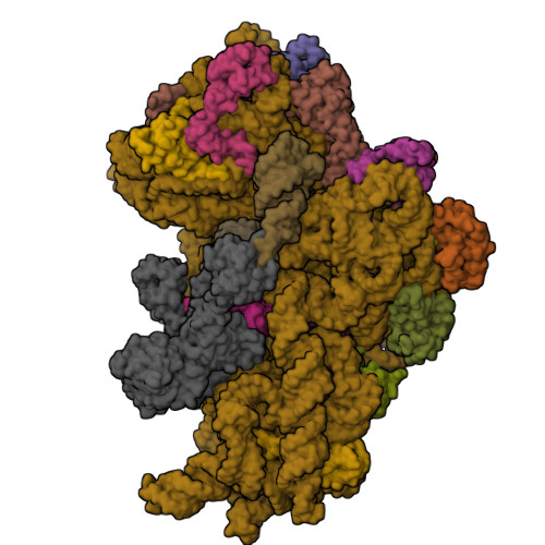 Structure 9TKN