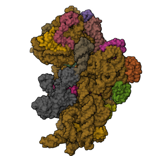 Structure 9TKO