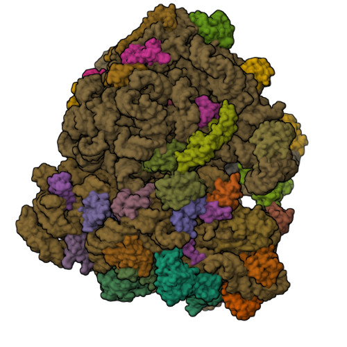 Structure 9TKQ