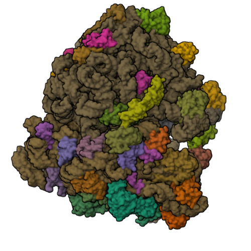 Structure 9TKR