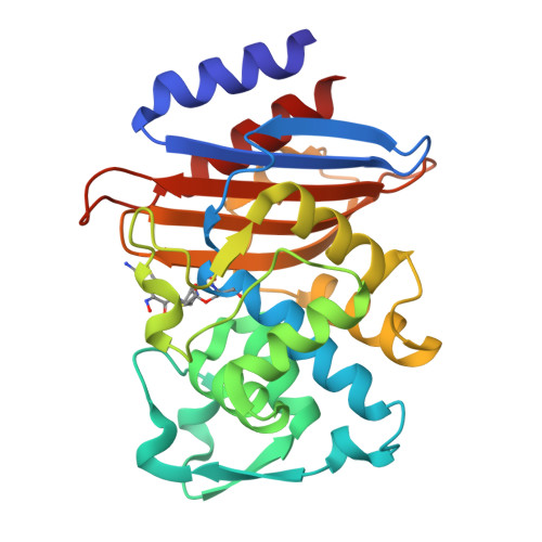 Structure 9TLD