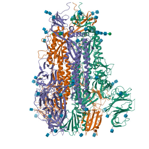Structure 9TMF