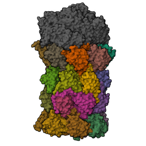 Structure 9TMS