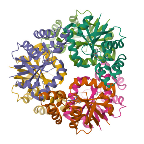 Structure 9TNH