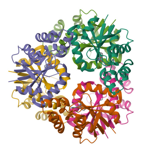 Structure 9TNI