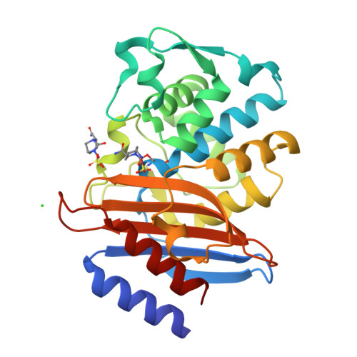 Structure 9TOH