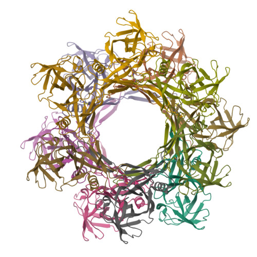 Structure 9TOI