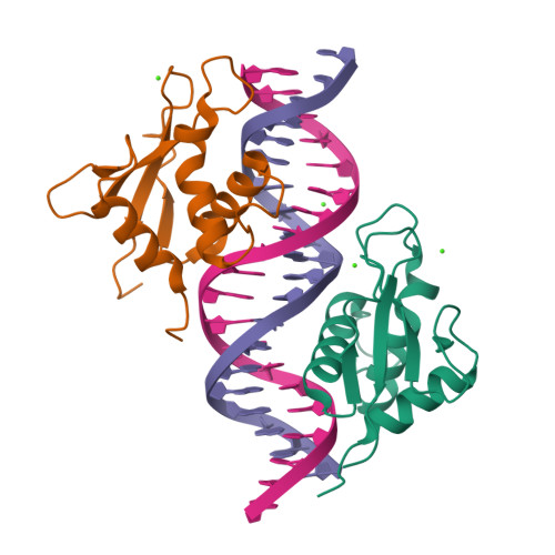 RCSB PDB - 9TOY: Investigating the binding mechanism of Interferon ...
