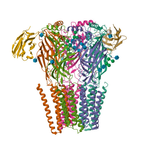 Structure 9TPQ