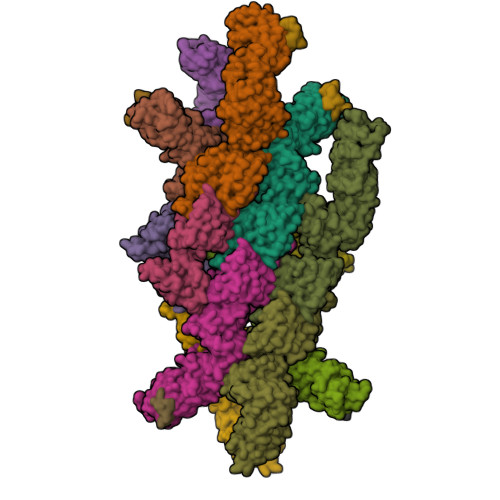 Structure 9TRC