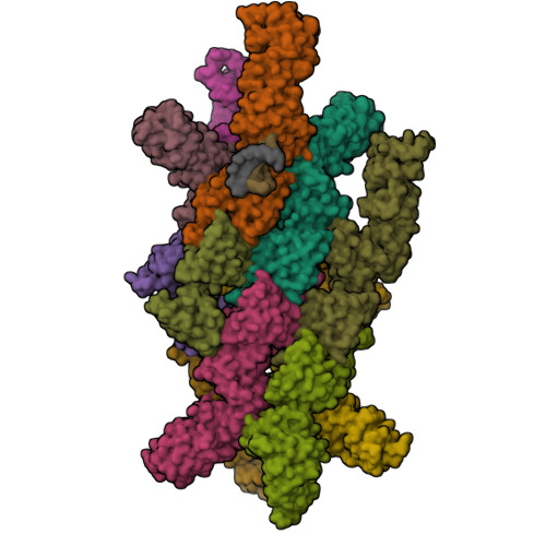 Structure 9TRE