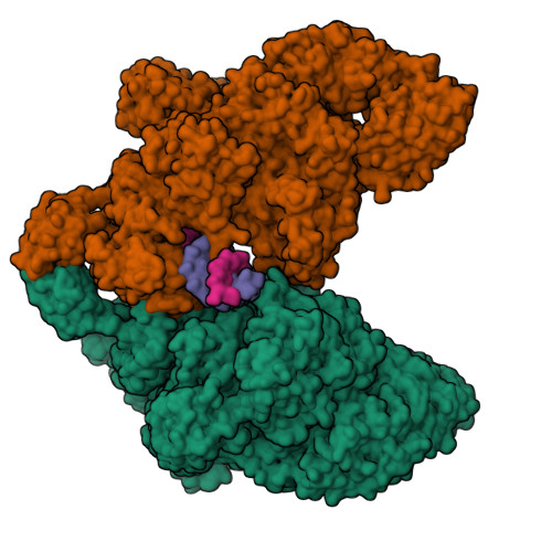 Structure 9TU9