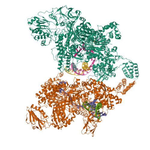 Structure 9TUC