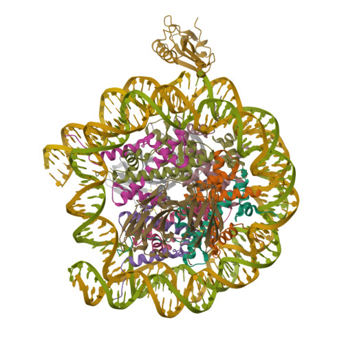 Structure 9TUN
