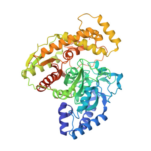 Structure 9TW8