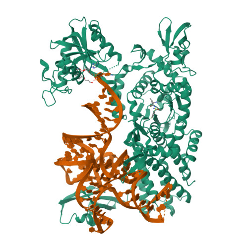 Structure 9TWR
