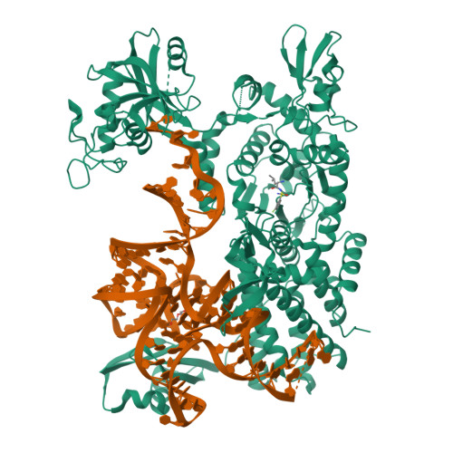 Structure 9TWS